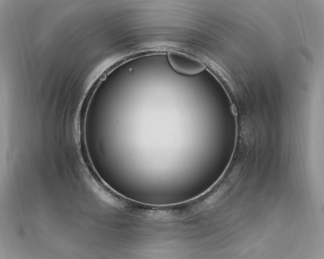 X0000110911082200906181338