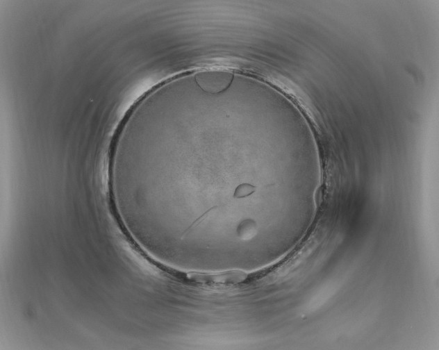 X0000110911083200906181338