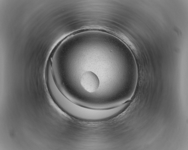 X0000110911084200906181338