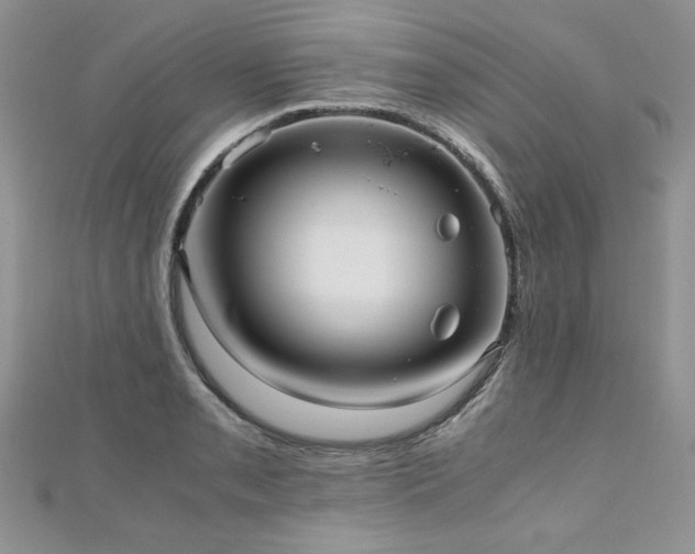 X0000110911085200906181338