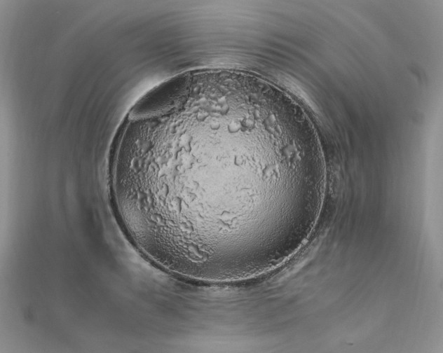 X0000110911087200906181338