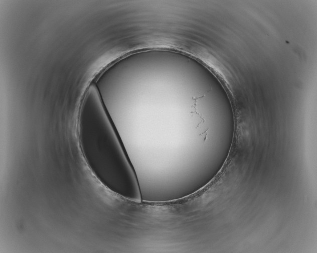 X0000110911088200906181338