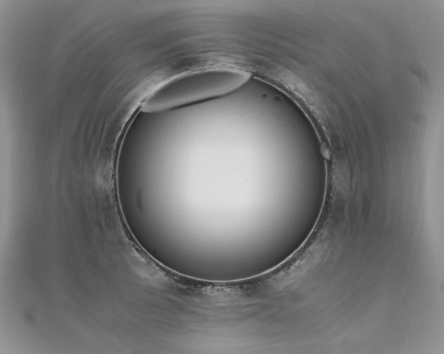 X0000110911089200906181338