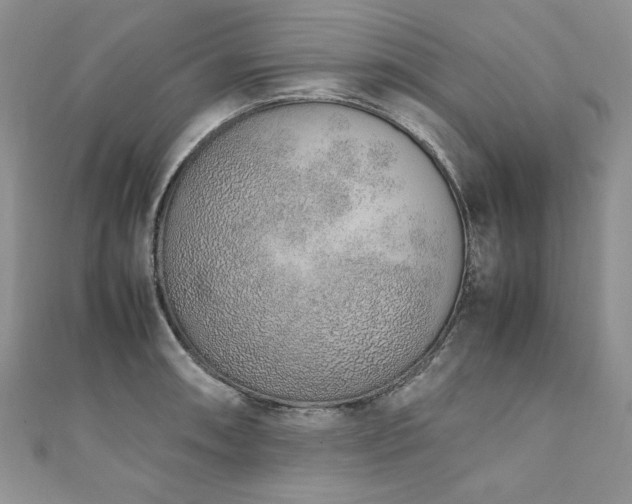 X0000110911090200906181338