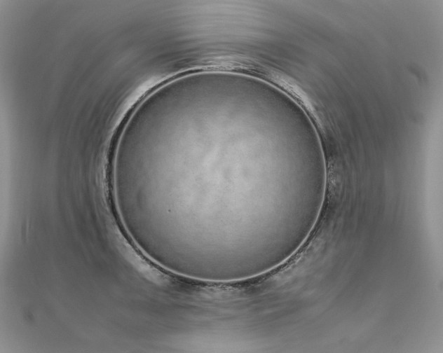 X0000110911091200906181338