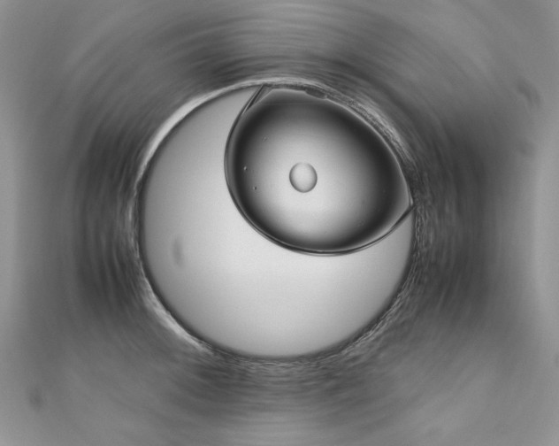 X0000110911092200906181338