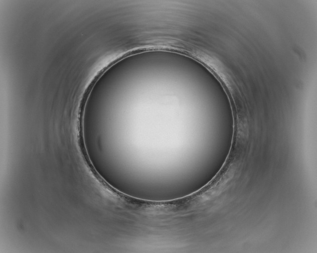 X0000110911093200906181338