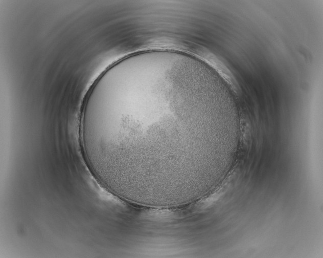 X0000110911094200906181338