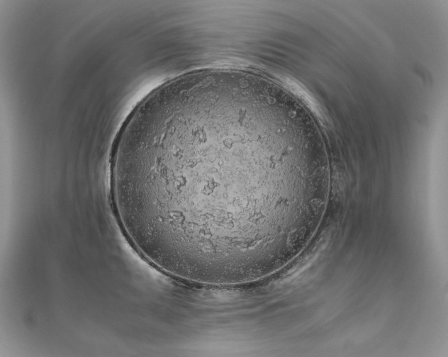 X0000110911095200906181338