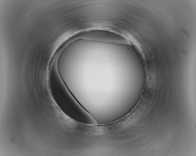 X0000110911096200906181338