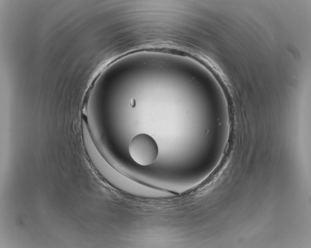 X0000110911097200906181337