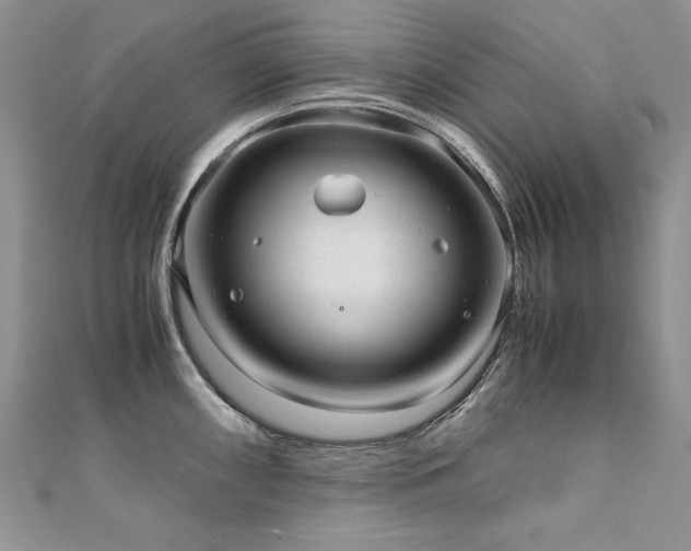 X0000110911098200906181337