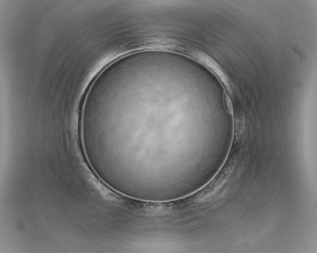 X0000110911099200906181337