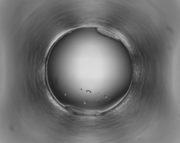 X0000110911100200906181337