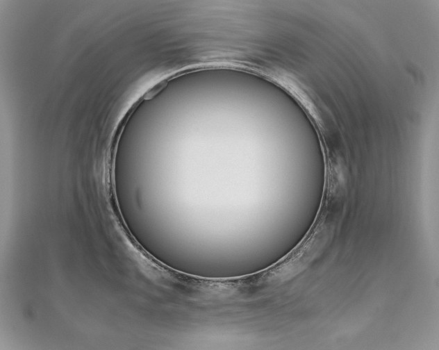 X0000110911101200906181337