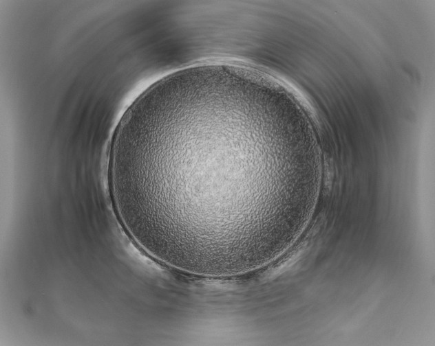 X0000110911102200906181337