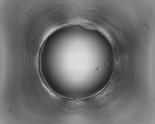 X0000110911103200906181337