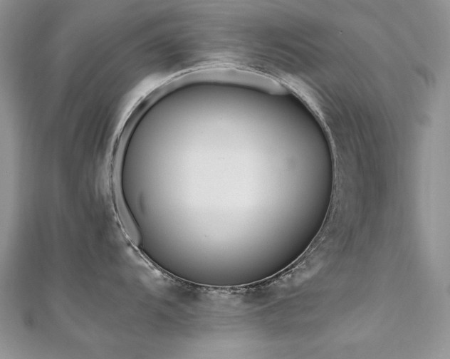 X0000110911104200906181337