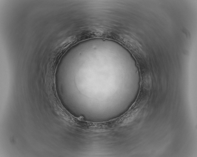 X0000110911105200906181337