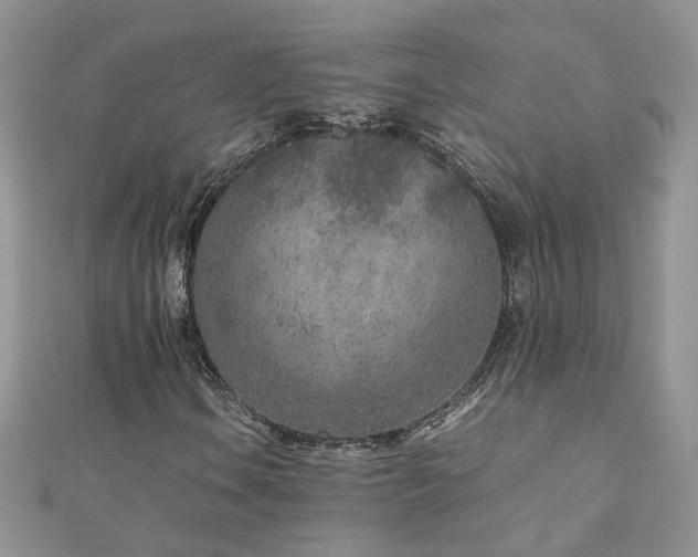 X0000110911106200906181337