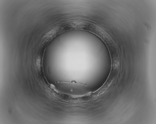 X0000110911108200906181337