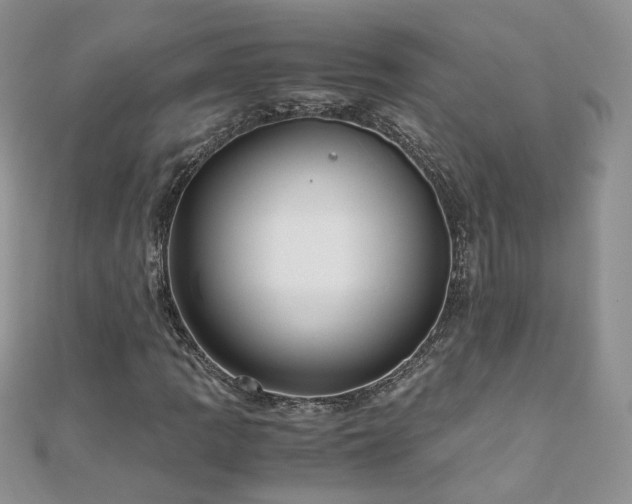 X0000110911109200906181337