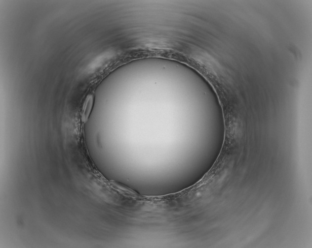 X0000110911110200906181337