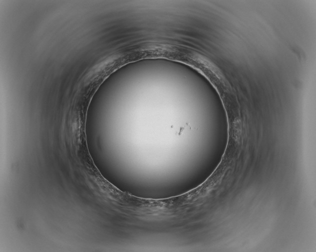 X0000110911111200906181337