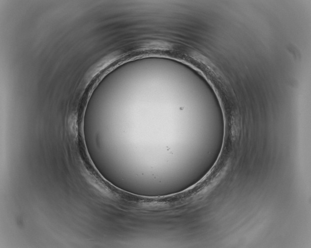 X0000110911113200906181337