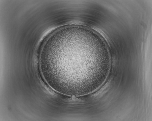 X0000110911115200906181337