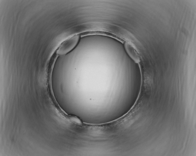 X0000110911116200906181337