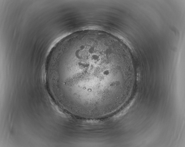 X0000110911117200906181337