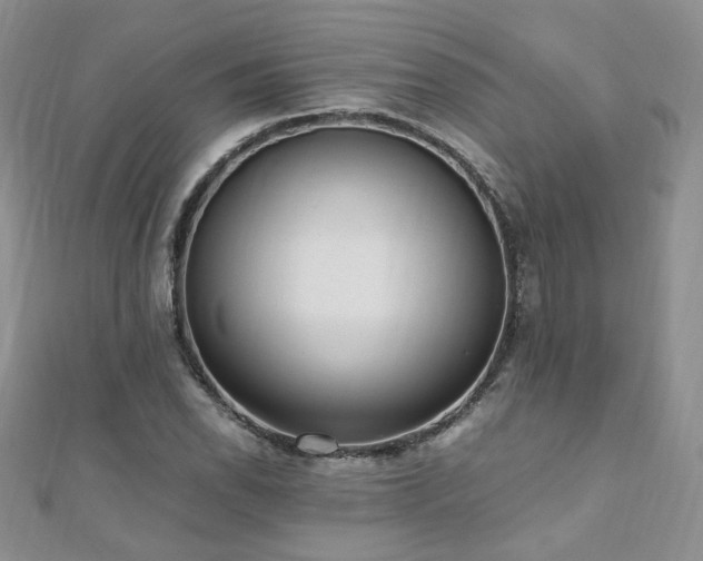 X0000110911118200906181337