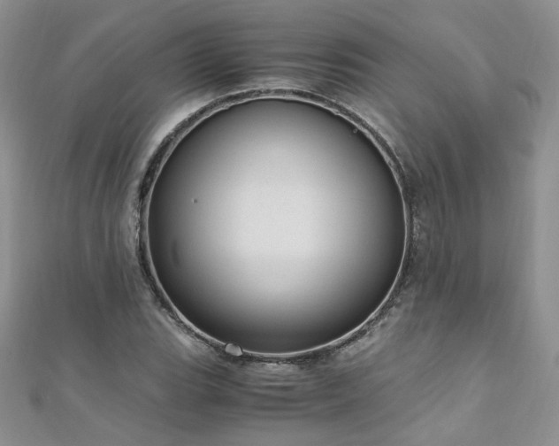 X0000110911119200906181337