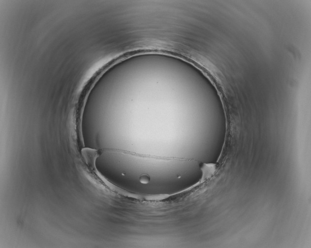 X0000110911120200906181337