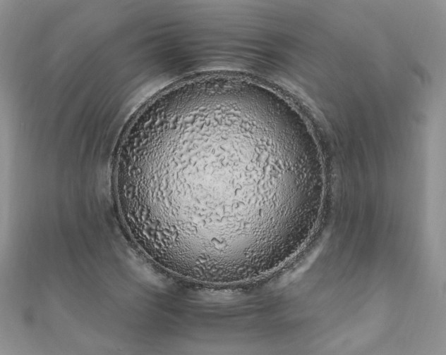 X0000110911121200906181337