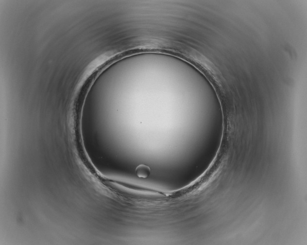 X0000110911122200906181337