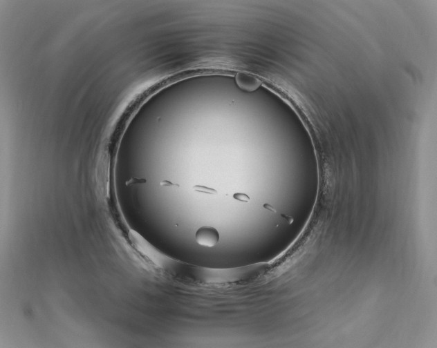 X0000110911123200906181337