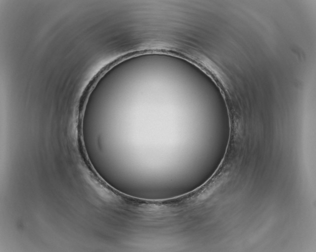 X0000110911124200906181337