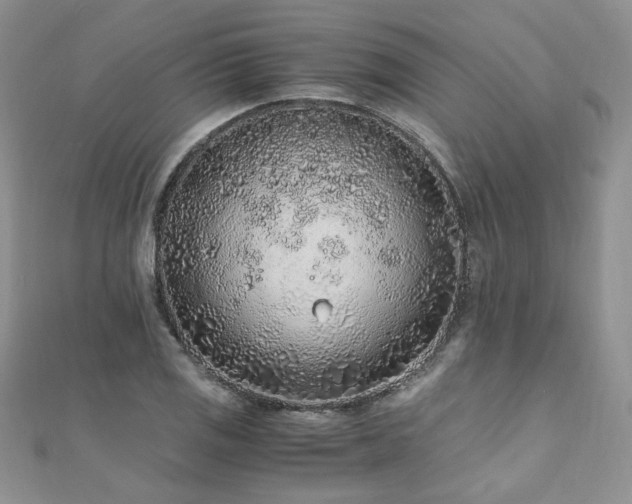 X0000110911125200906181337