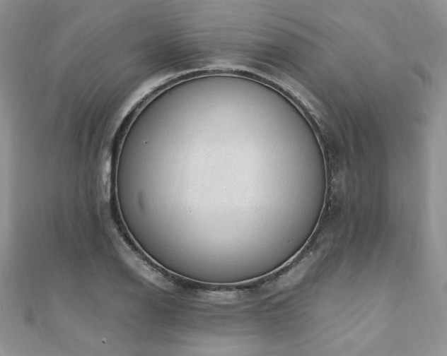 X0000110911126200906181337