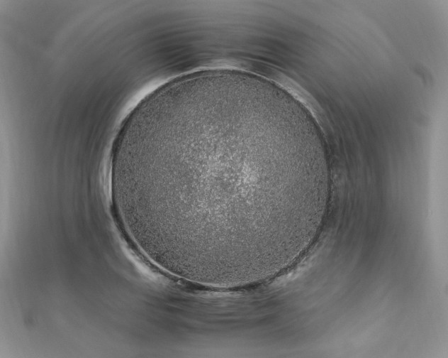 X0000110911127200906181337