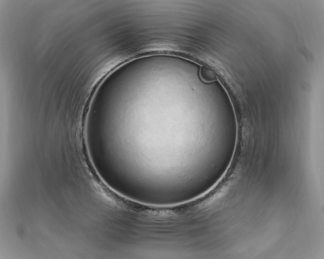 X0000110911129200906181337