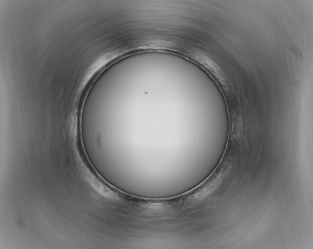 X0000110911130200906181337