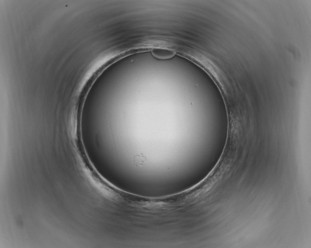 X0000110911131200906181337