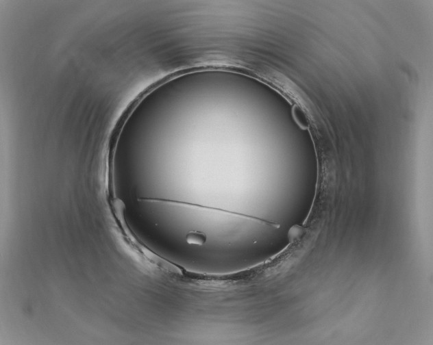 X0000110911132200906181337