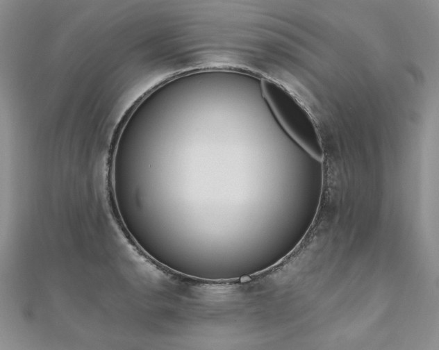 X0000110911134200906181337