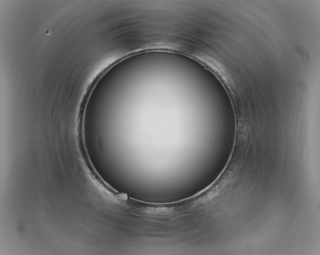 X0000110911135200906181337