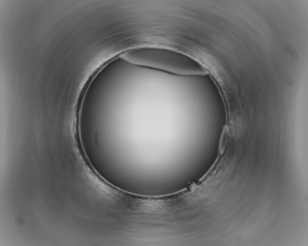 X0000110911136200906181337