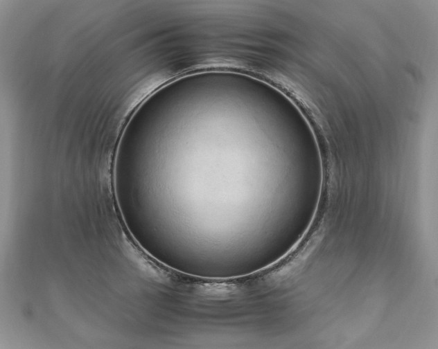 X0000110911137200906181337